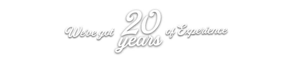 20 Years of Experience Logo