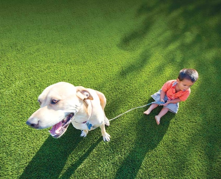 outdoor fake grass with cute dog and little boy holding it on a leash