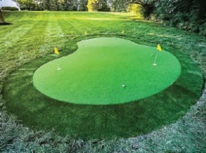 large outdoor diy putting green kit with 4 holes in a nice large backyard, surrounded by fringe and regular grass on an open, level lawn