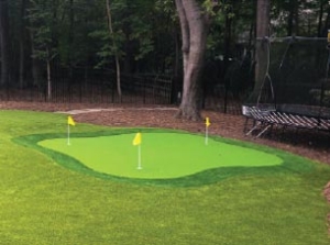 outdoor artificial putting green kit. there are 3 holes and fringe surrounding it. there are trees in the background.