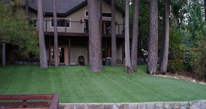fake grass lawn installation with large trees and house