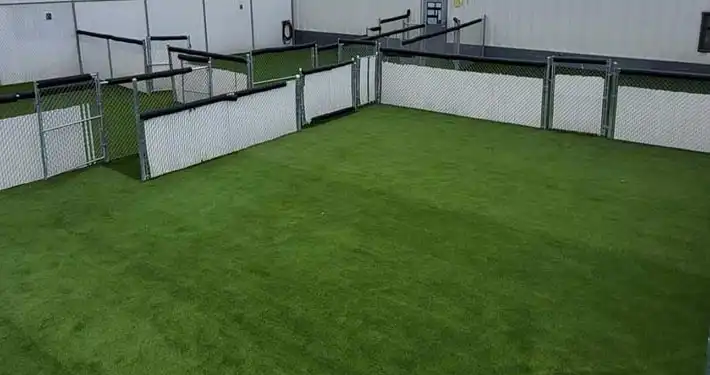 doggy boarding facility with synthetic pet grass
